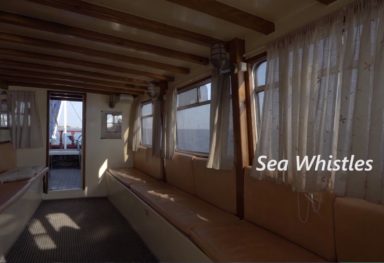 Sea Whistles